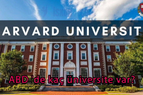ABD 'de kaç üniversite var