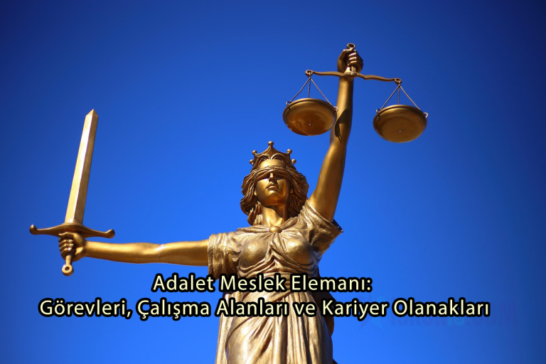 Adalet Meslek Elemanı: Görevleri, Çalışma Alanları