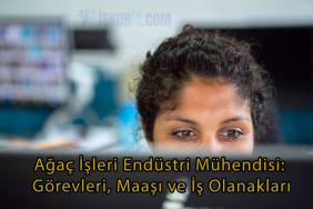 Ağaç İşleri Endüstri Mühendisi