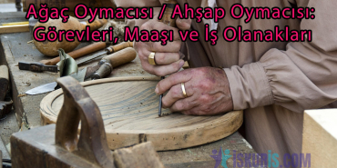 Ağaç Oymacısı