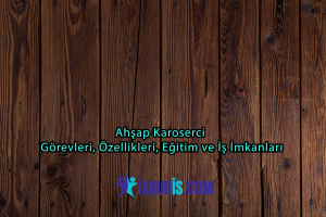 Ahşap Karoserci | Görevleri, Özellikleri, Eğitim ve İş İmkanları
