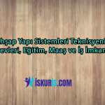 Ahşap Yapı Sistemleri Teknisyeni | Görevleri, Eğitim, Maaş ve İş İmkanları