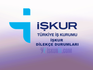 İşkur İşsizlik Maaşı Dilekçe Durumları ve İşsizlik Maaşı