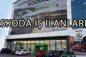 Skoda İŞ İLANI