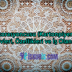 Alçı Dekorasyoncusu (Kartonpiyer) Nedir? Görevleri, Özellikleri ve İş Olanakları