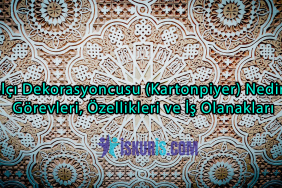 Alçı Dekorasyoncusu