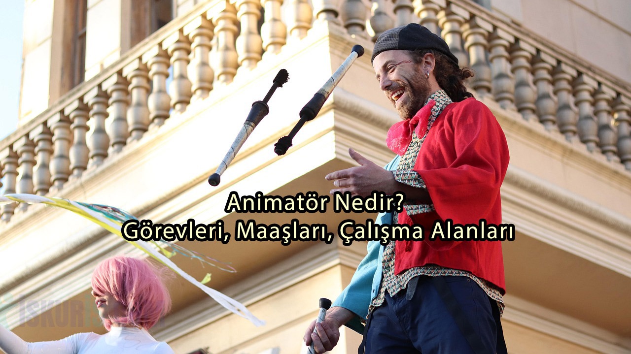 Animatör Nedir