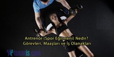 Antrenör (Spor Eğitmeni) Nedir