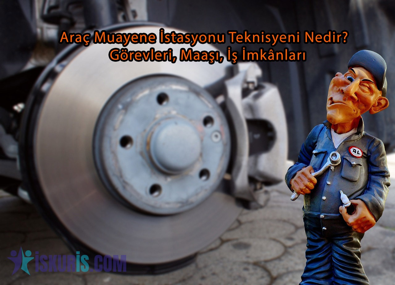 Araç Muayene İstasyonu Teknisyeni Nedir