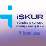Gümüşhane İş İlanları Güncel İŞKUR Personel ve İşçi Alımı