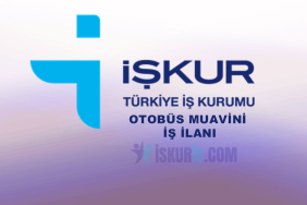 OTOBÜS MUAVİNİ İŞ İLANI