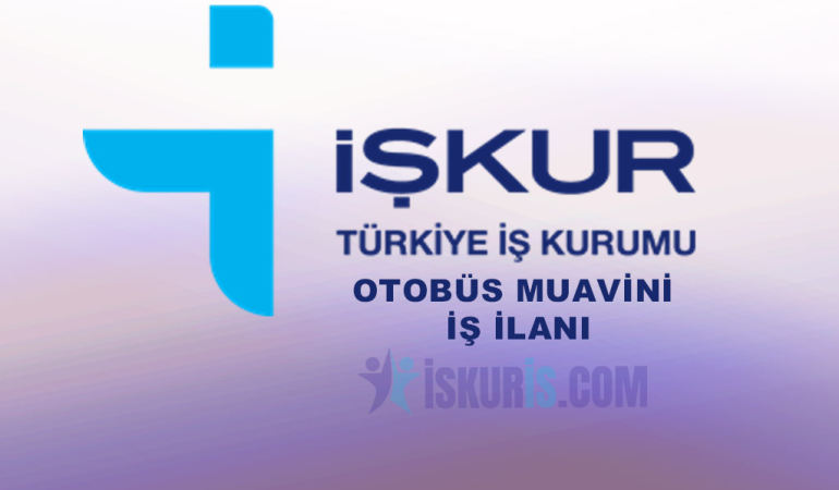 OTOBÜS MUAVİNİ İŞ İLANI