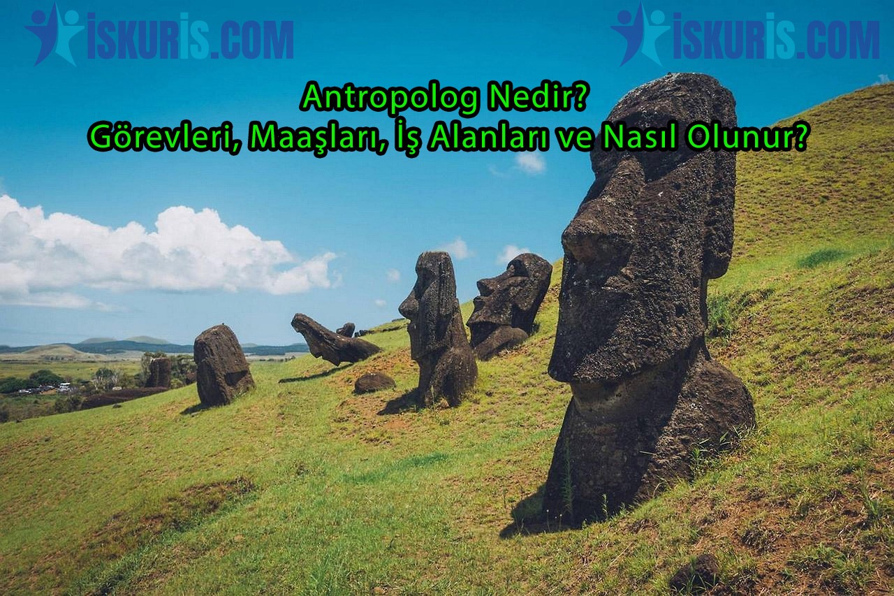 antropolog nedir