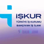 KPSS Şartsız Bahçıvan Alımı – İŞKUR Bahçıvan İş İlanları (Güncel)