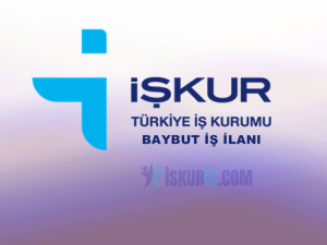 Bayburt İş İlanları -– Güncel İŞKUR