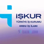 Ordu İş İlanları – Güncel İş Fırsatları İşkur