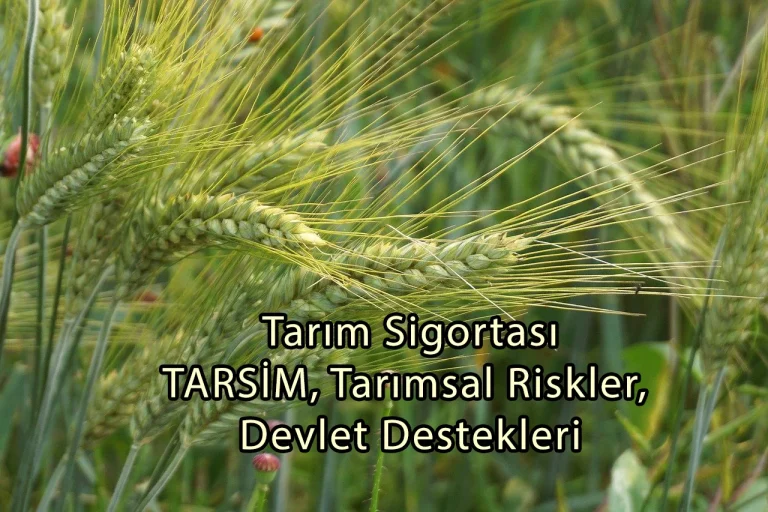 Tarım Sigortası, TARSİM, Tarımsal Riskler, Devlet Destekleri