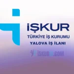 Yalova İş İlanları | İŞKUR İŞ İLANLARI